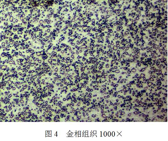 �������S��呼����˻��|�����������a�ɱ���